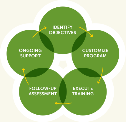 Our Process